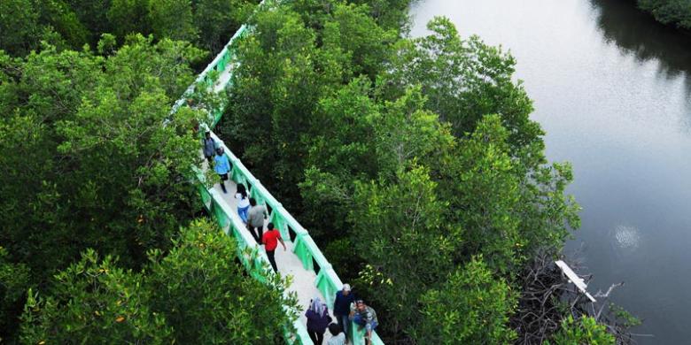Menyusuri Hutan Bakau dan Nikmatnya Mi Kepiting Langsa