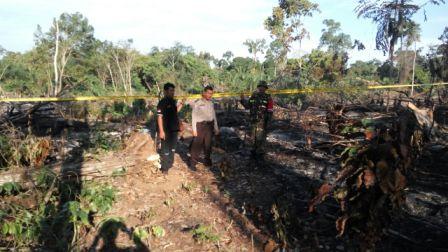 Kebakaran Lahan di Desa Langkitin, Polres Rohul Segera Panggil Dua Pemilik Lahan 