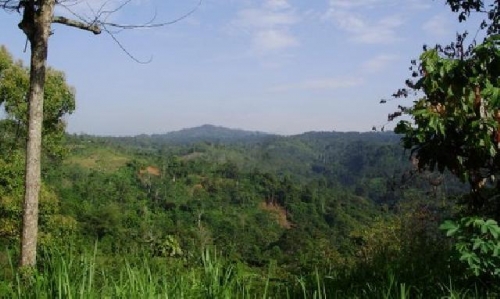 Pasca Kalahkan Wabup Kuansing, Legalitas Yayasan Riau Madani Dipertanyakan