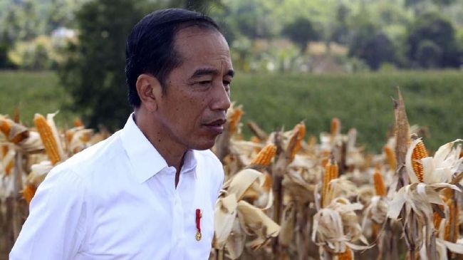 Survei PolMark: Elektabilitas 40 Persen, Jokowi Belum Aman 