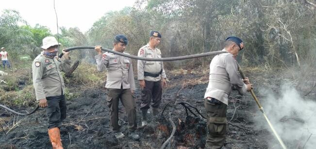 Berani Tangkap Pelaku Karhutla di Pelalawan, Diberi Hadiah Rp5 Juta 