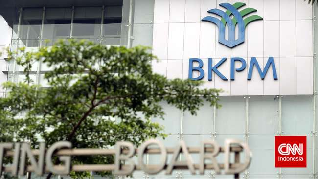 Investor Jepang Keluhkan 3 Kesulitan Investasi di Indonesia
