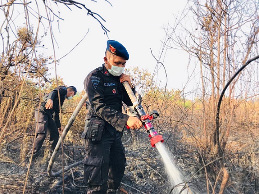 BKO Polda Riau Turun, Begini Kondisi Karhutla Di Meranti 