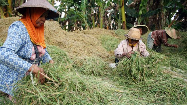 Sri Mulyani Sebut BLT Dana Desa Cair Rp 63,25 M per 7 Mei