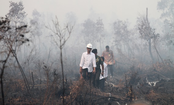 Rencana Kunjungan Presiden Jokowi ke Riau Dikabarkan Batal