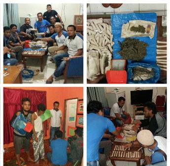 Polres Bengkalis Sita 4 Paket Besar dan 135 Paket Ganja Siap Edar