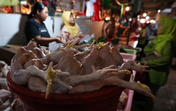 Rata-rata Harga Bahan Pokok Turun Awal Pekan Ini