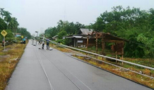 Dihantam Hujan Badai, 12 Batang Tiang Listrik di Desa Gogok Kepulauan Meranti Tumbang