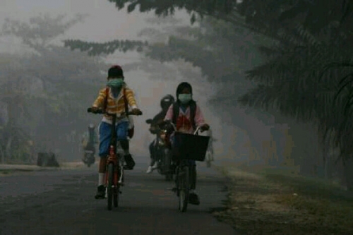 Status Siaga Darurat Asap Diperpanjang, BPBD Rohul Malah Kehabisan Stock Masker 