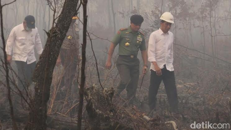 Jokowi Bingung Bencana Asap karena Pembakaran Lahan Terus Terulang