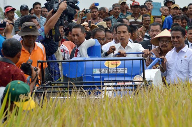 Presiden Tinjau Panen Raya di Sukoharjo 