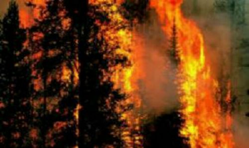 14 Hotspot Terpantau di Pelalawan 
