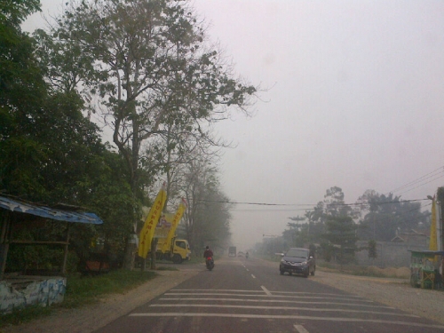 Kebun Kelapa Sawit Milik PT Teso Indah Terbakar, Asap di Inhu Kian Pekat 