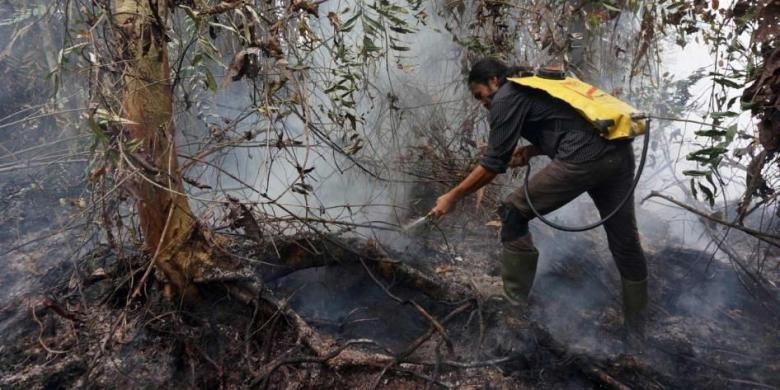 Aktivis Lingkungan Pertanyakan SP3 Kasus 15 Perusahaan Tersangka Pembakar Hutan