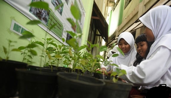 Riau Siapkan Dua Juta Bibit Tanaman Gratis 