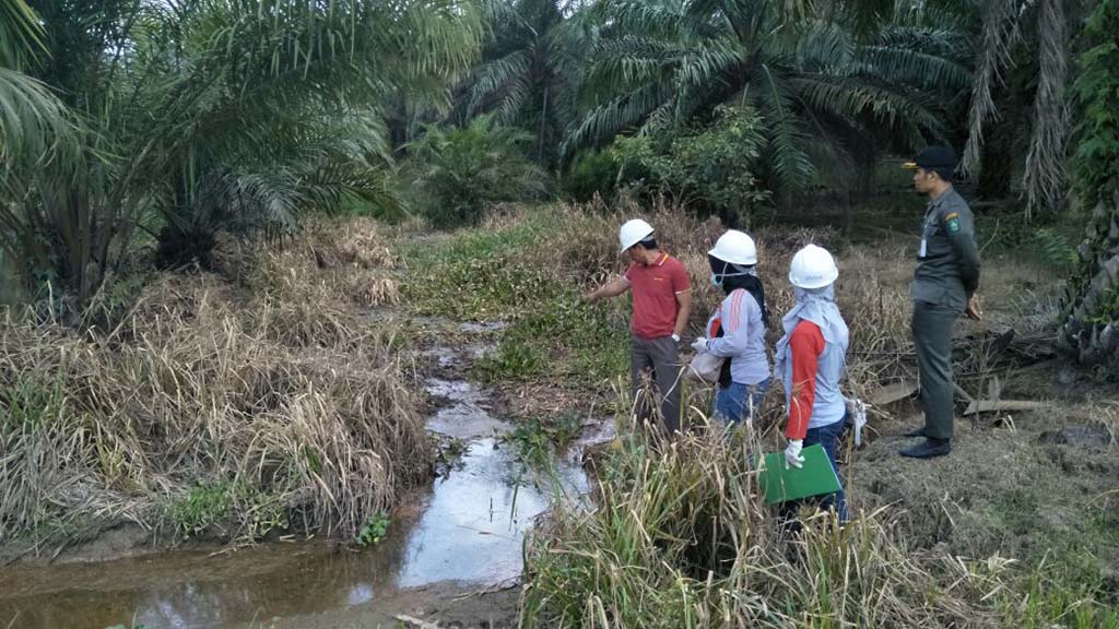 Permata Citra Rangau Diduga Cemari Lingkungan