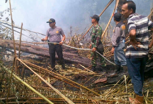 6 Ha Kebun Sagu Warga Tebingtinggi Barat Terbakar