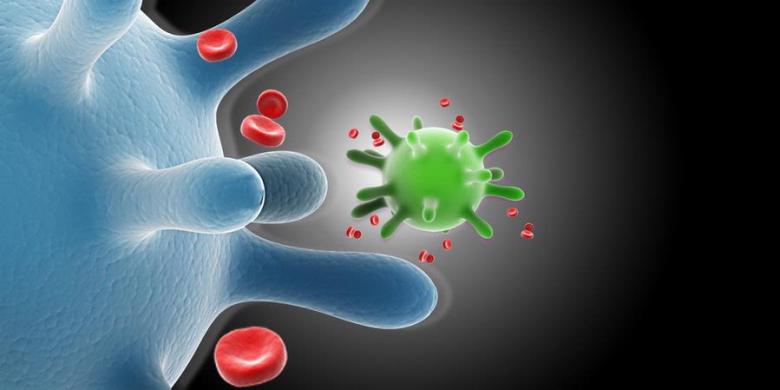 Mengenal HPV, Virus yang Sebabkan Kanker Serviks Hingga Kutil Kelamin 