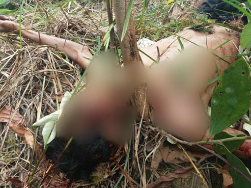 Tersebab Rp200 Ribu, Warga Peranap, Inhu Tewas Dikeroyok 