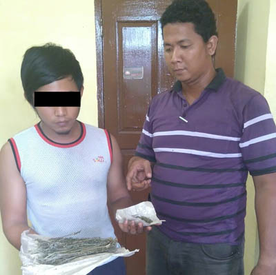 Polisi Tangkap Seorang Karyawan KID Bawa Ganja Kering