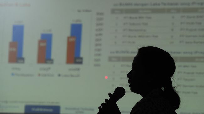 Anggaran Kementerian BUMN Tahun Depan Naik 66 Persen 