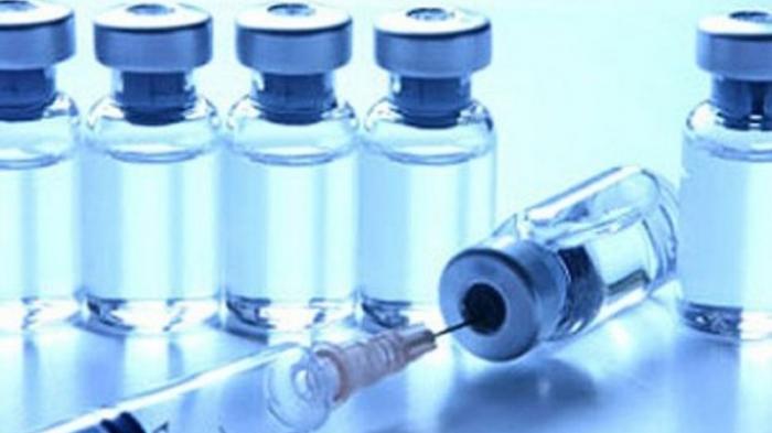 Diskes Tegaskan Vaksin Palsu tak Masuk Rohil 