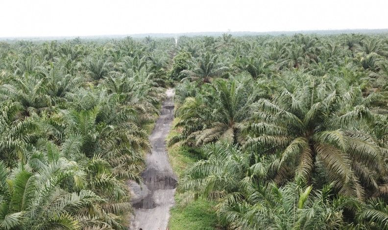 Lahan Duta Palma Disita Negara