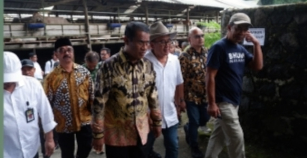 Menteri Pertanian Minta Kurangi Impor Rp 37 Triliun, Wujudkan Swasembada Bersama Peternak Lokal