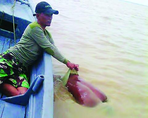 Terjatuh Saat Mencari Ikan, Nelayan Pulau Halang Rohil Tewas Tenggelam