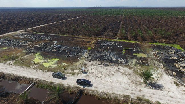 Penyanderaan Pegawai KLHK, Gubernur Riau Minta Dukung Aparat
