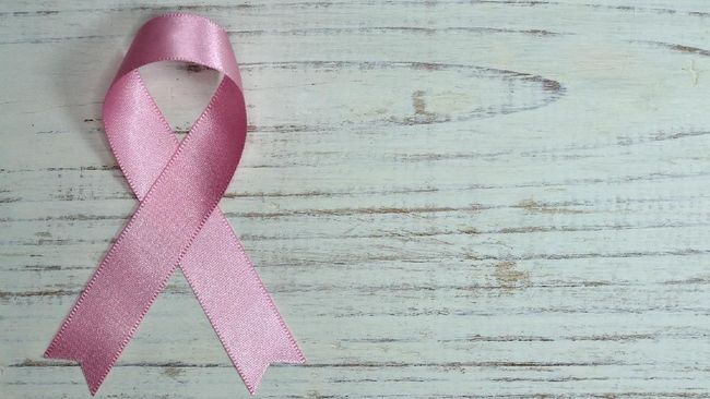 Fakta Bajakah, Tanaman yang Diklaim Jadi Obat Kanker Payudara