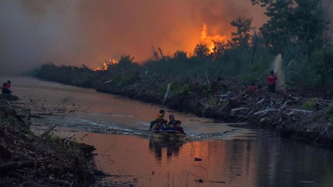 Polisi Tetapkan 10 Orang Tersangka Karhutla di Sumatera