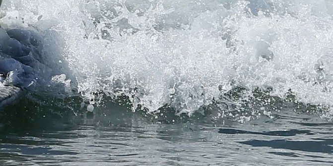 Ikan Jumbo Tanpa Ekor Terdampar di Pantai California 