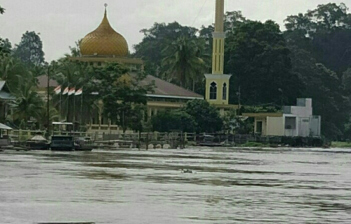 Banjir di Pelalawan Makin Parah Lima Kecamatan Terendam 
