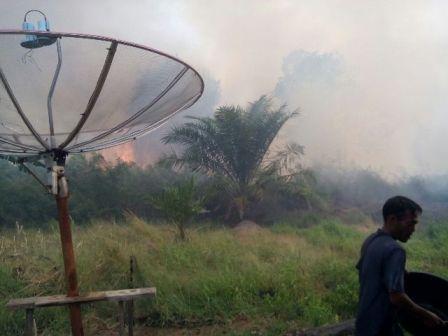 Kasus Kebakaran Lahan di Kota Pekanbaru Terus Meningkat 