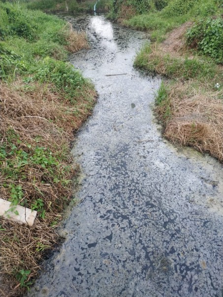 Diduga Buang Limbah ke Sungai, PT CAS Dilaporkan ke DLH Pelalawan