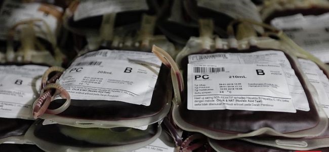 Hari Donor Darah Sedunia: Darah Aman untuk Semua
