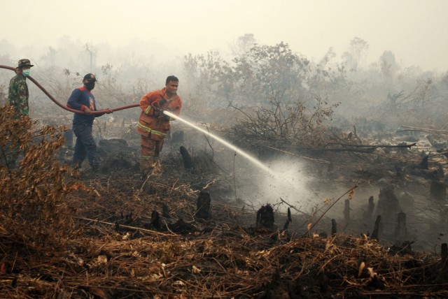 Meningkat, 14 Titik Panas Terdeteksi di Riau 