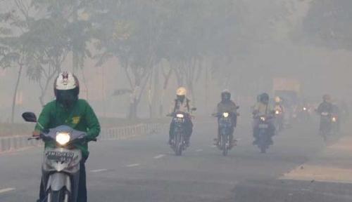 Kaukus Pemuda Riau - Jakarta Minta Presiden Segera Bertindak Atasi Bencana Asap 
