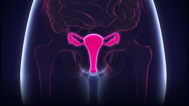 Catatan Pemberian Vaksin HPV untuk Cegah Kanker Serviks