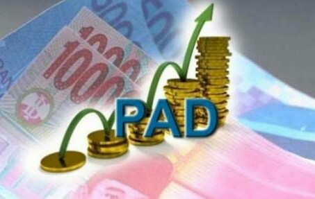 Anggota DPRD Minta Pemkab Meranti Maksimalkan Target PAD di Atas Rp100 M