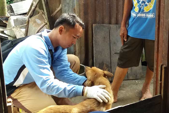 Pemberian Vaksin Rabies Serentak di Lima Kecamatan