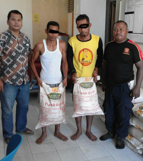 Gelapkan Puluhan Karung Pupuk, Dua Buruh Panen PT. PR Rupat Diamankan Polres Bengkalis 
