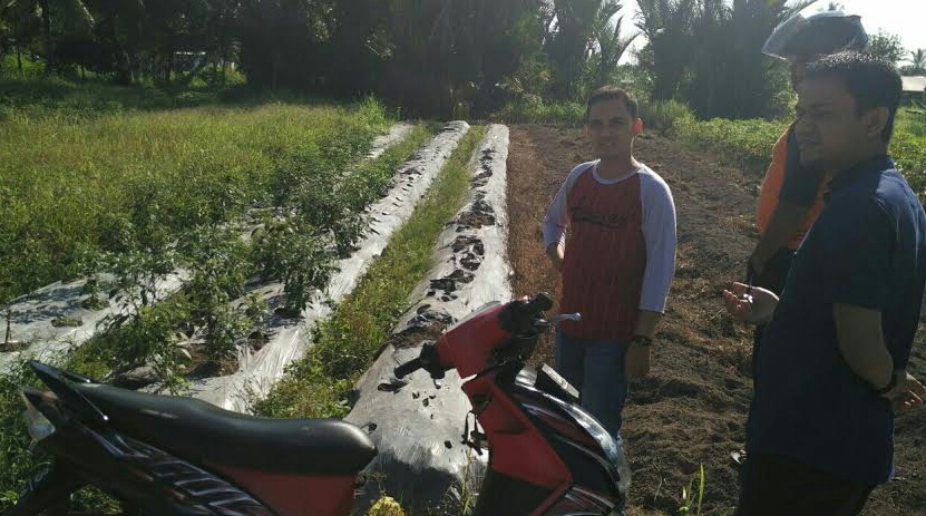 Pemuda Muhammadiyah Meranti Buka Lapangan Kerja