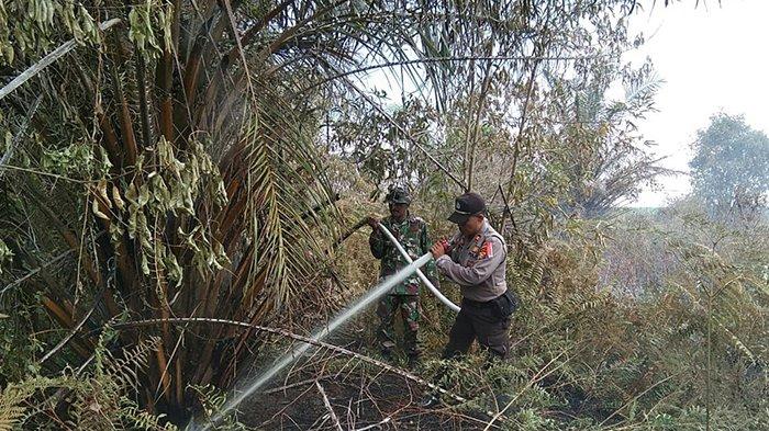 BPBD Pelalawan: Jumlah Titik Hotspot di Pelalawan Meningkat Hari Ini 
