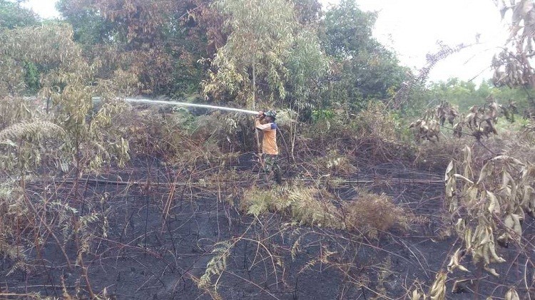 Pemadaman Karhutla di Bengkalis Dilakukan dari Darat dan Udara
