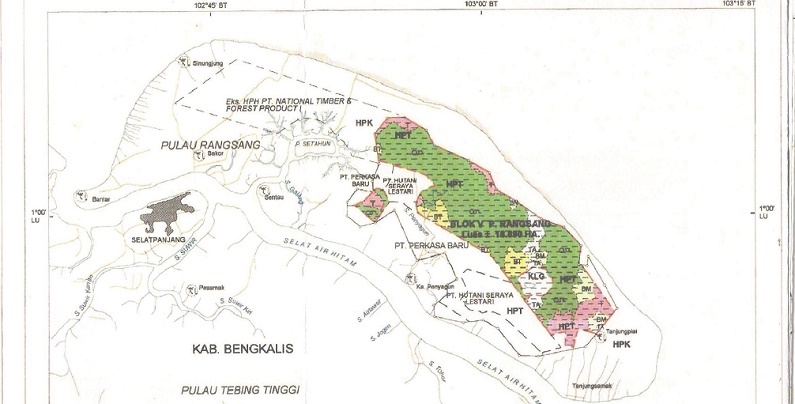 Hutan Gambut, di Antara Perlindungan dan Pemanfaatan 
