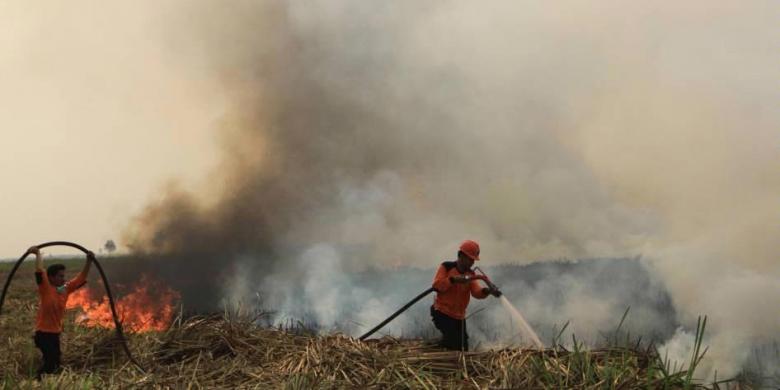 Benarkah Sebaskom Air Garam Bisa Mendatangkan Hujan dan Mengusir Asap?