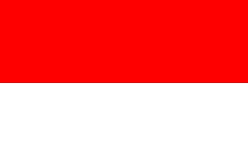 Mengkritik Pemerintah 
