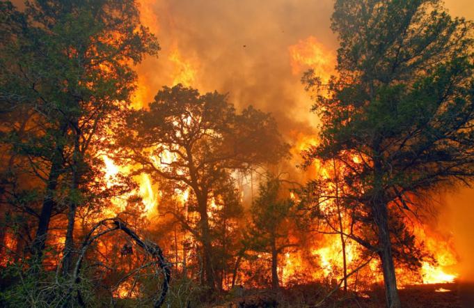 Karhutla: Segitiga api, dan hilangnya sumberdaya hutan